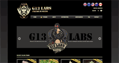 Desktop Screenshot of g13labs.com